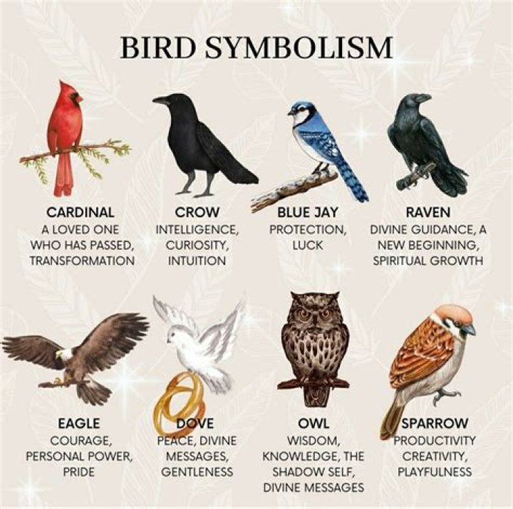 A Guide To Avian Symbolism
