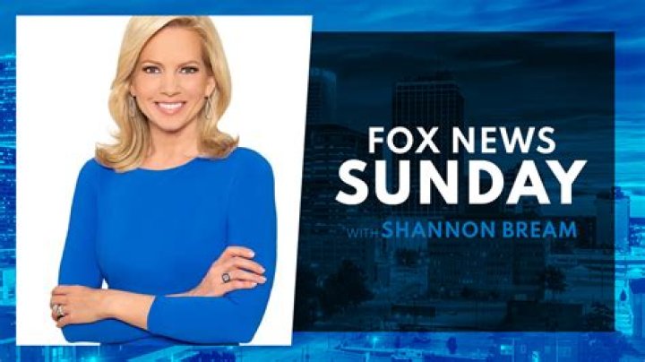Does Longtime Fox News Anchor Shannon Bream Have Children?