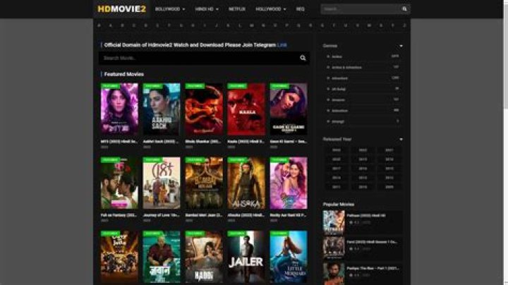 Explore A Vast Media Library: Download Your Favorite Movies With Mkvmoviespoint