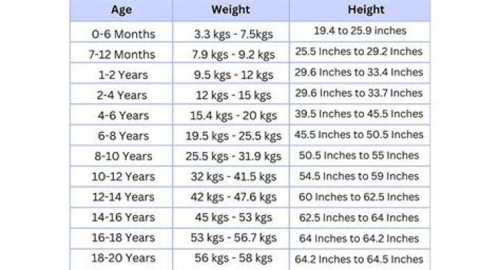 Lamine Yamal's Height And Weight: A Comprehensive Guide