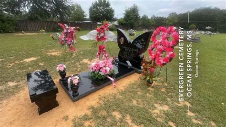 The Tragic End: Unveiling The Circumstances Of Aubrigh Wyatt's Suicide